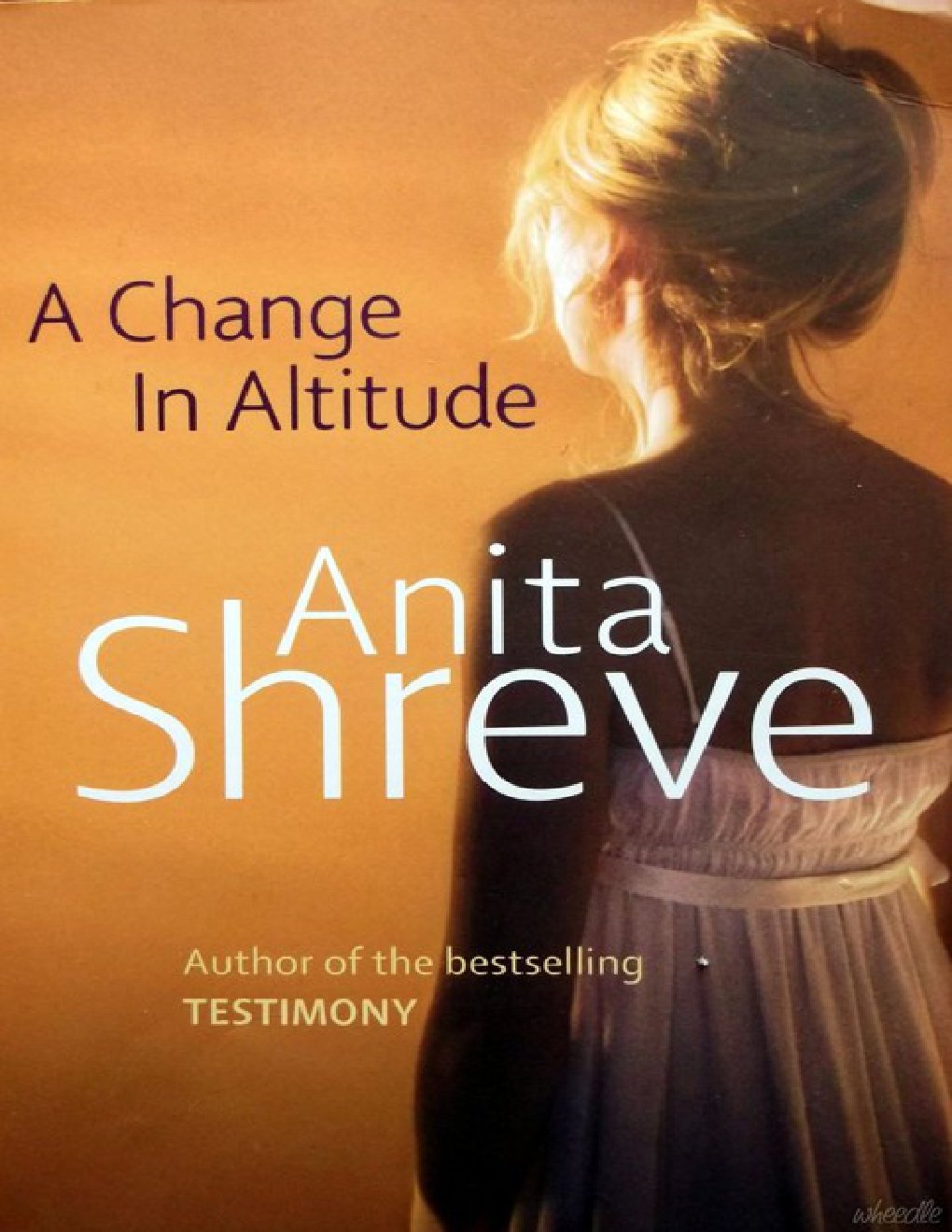 Cover of A Change in Altitude