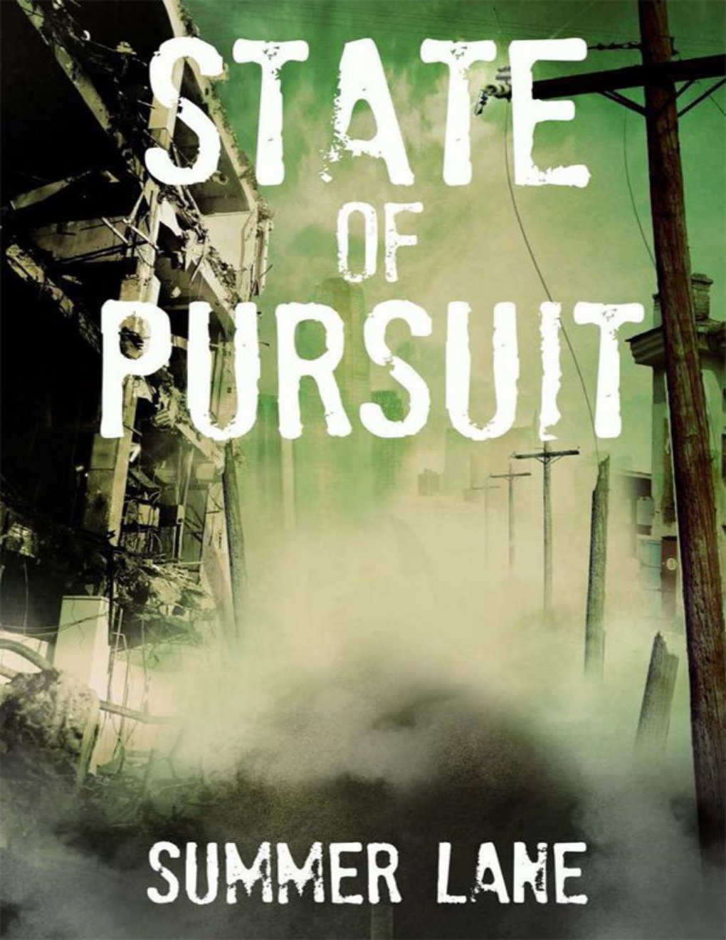 Cover of State of Pursuit