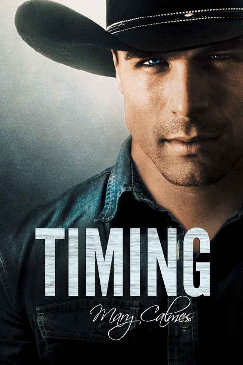 Cover of Timing (2016)