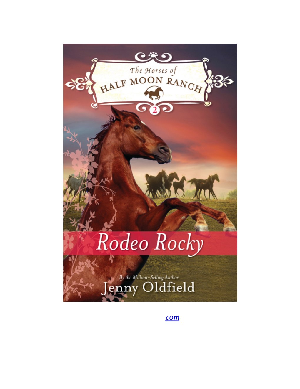 Cover of Rodeo Rocky