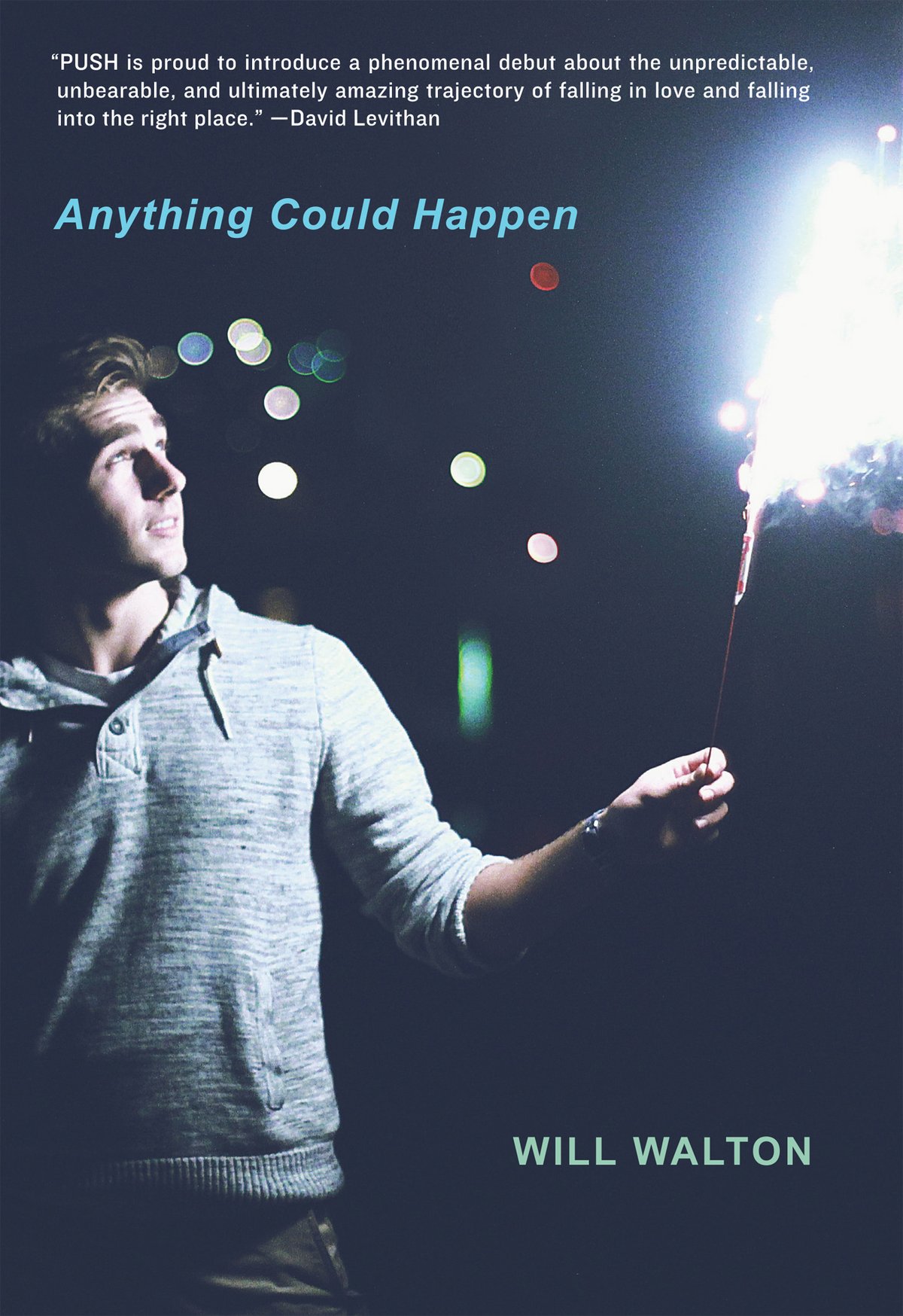 Cover of Anything Could Happen