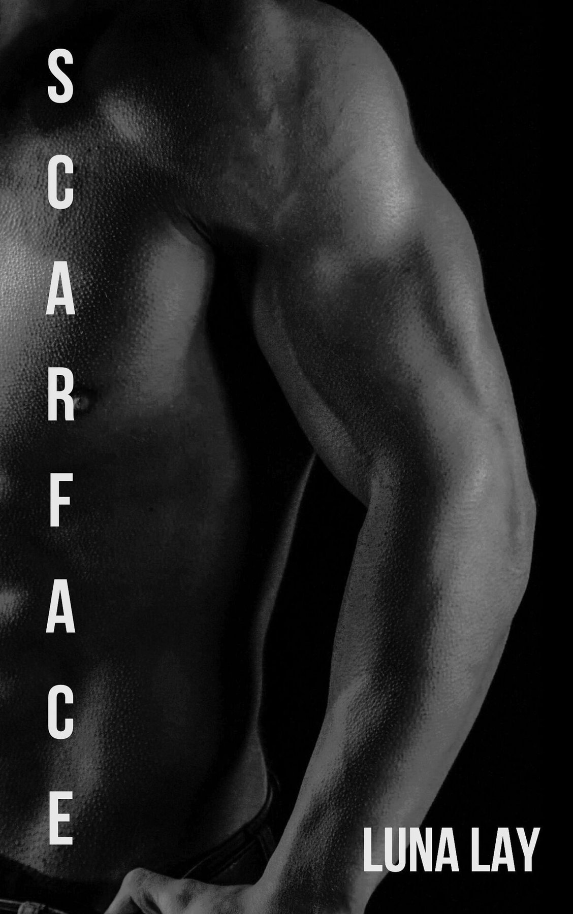 Cover of Scarface (The Loser's Divison Book 3)