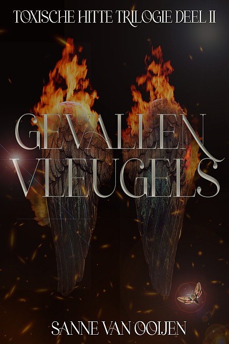 Cover of Gevallen vleugels (2025)