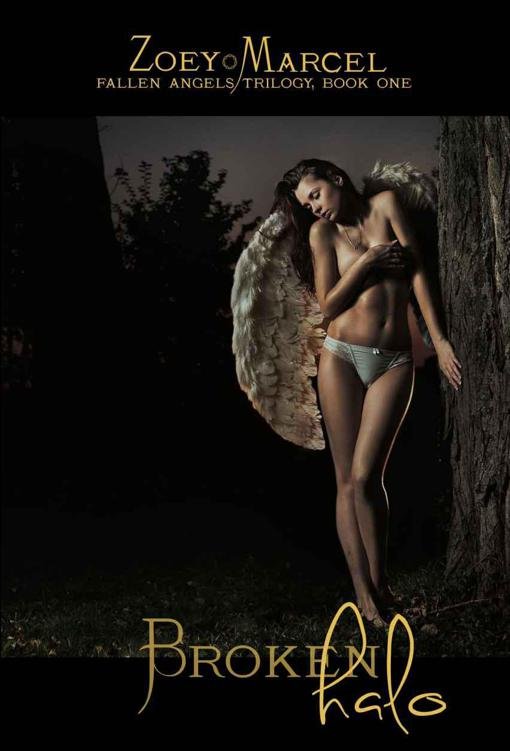 Cover of Broken Halo- Fallen Angels Trilogy, Book One (1811)