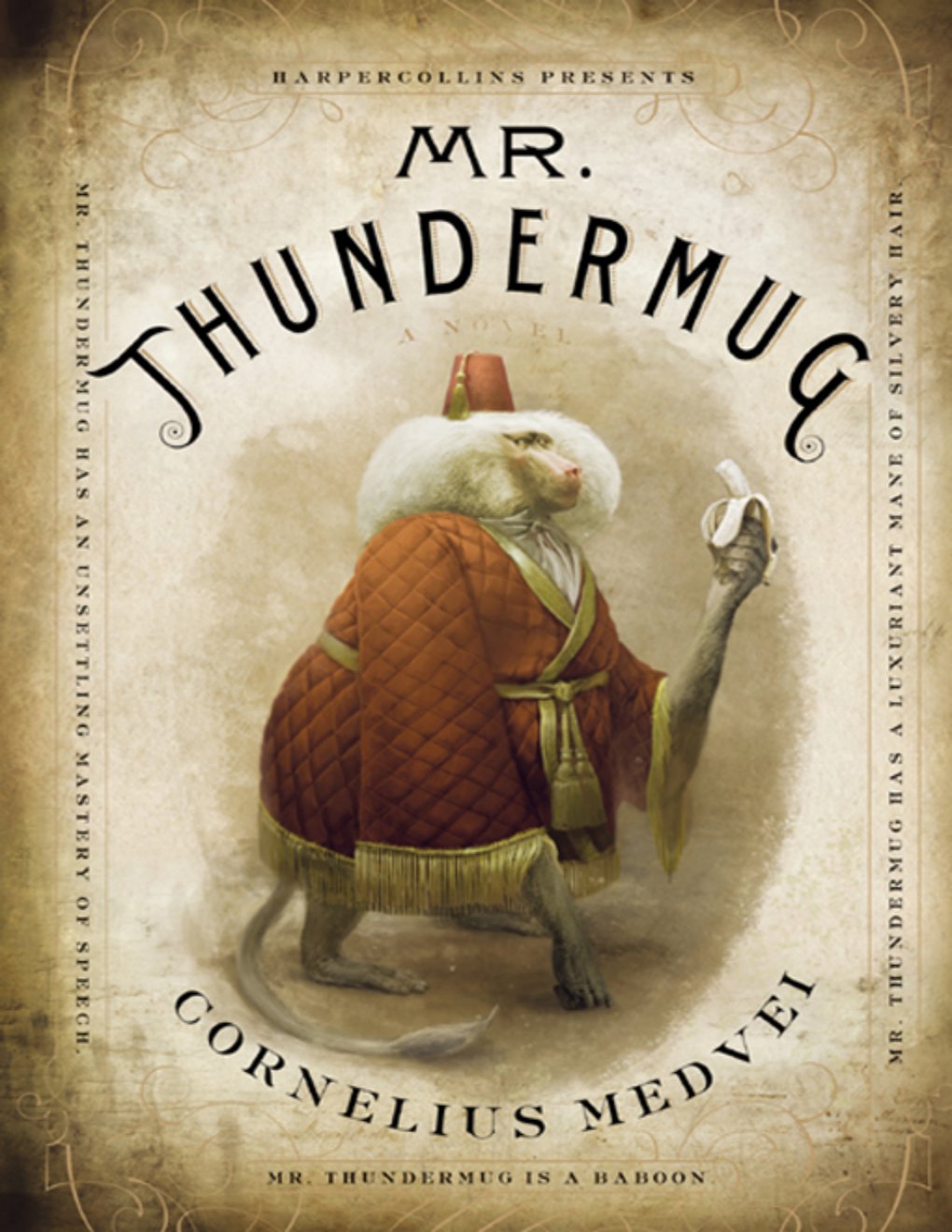 Cover of Mr. Thundermug