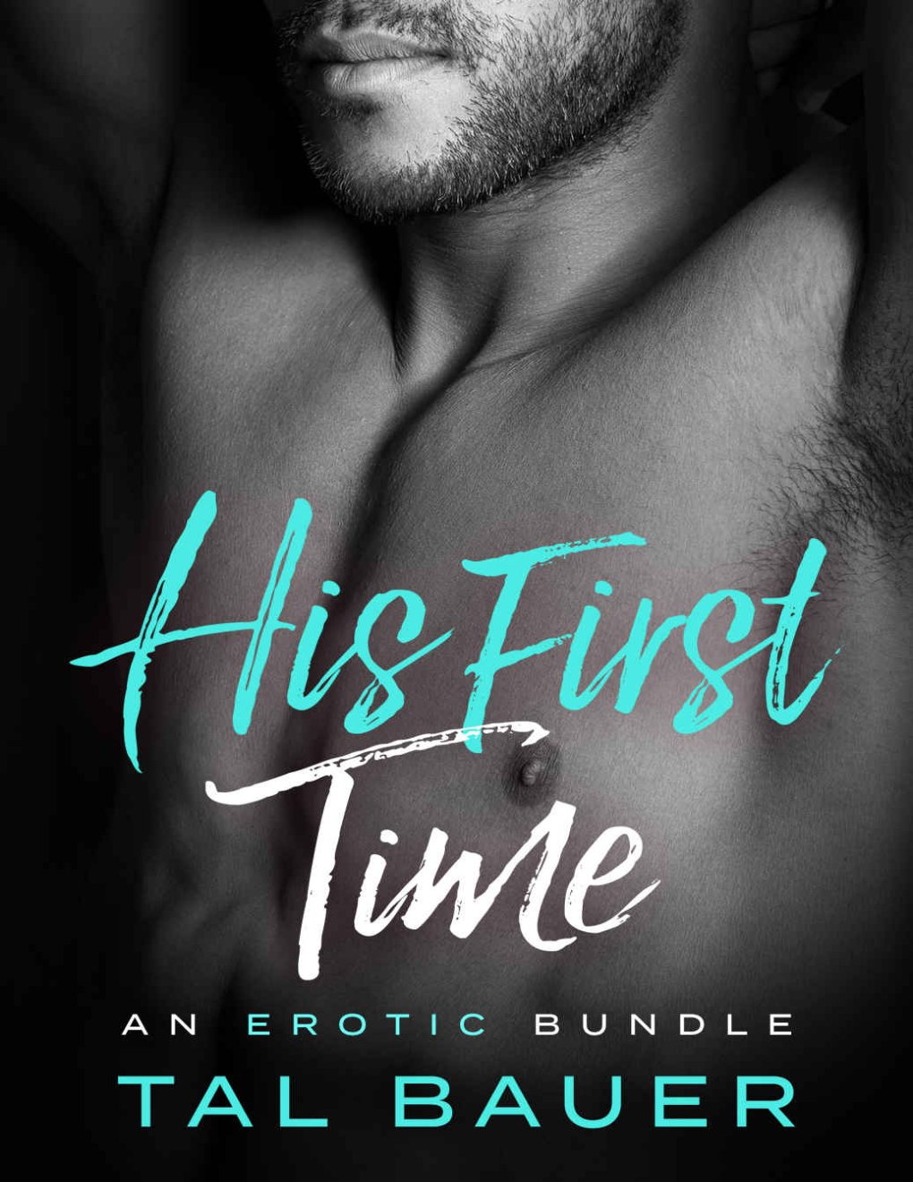 Cover of His First Time: An Erotic Romance Bundle