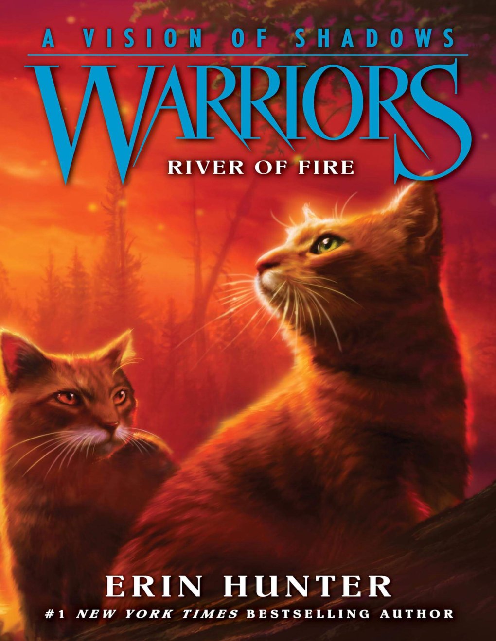 Cover of River of Fire