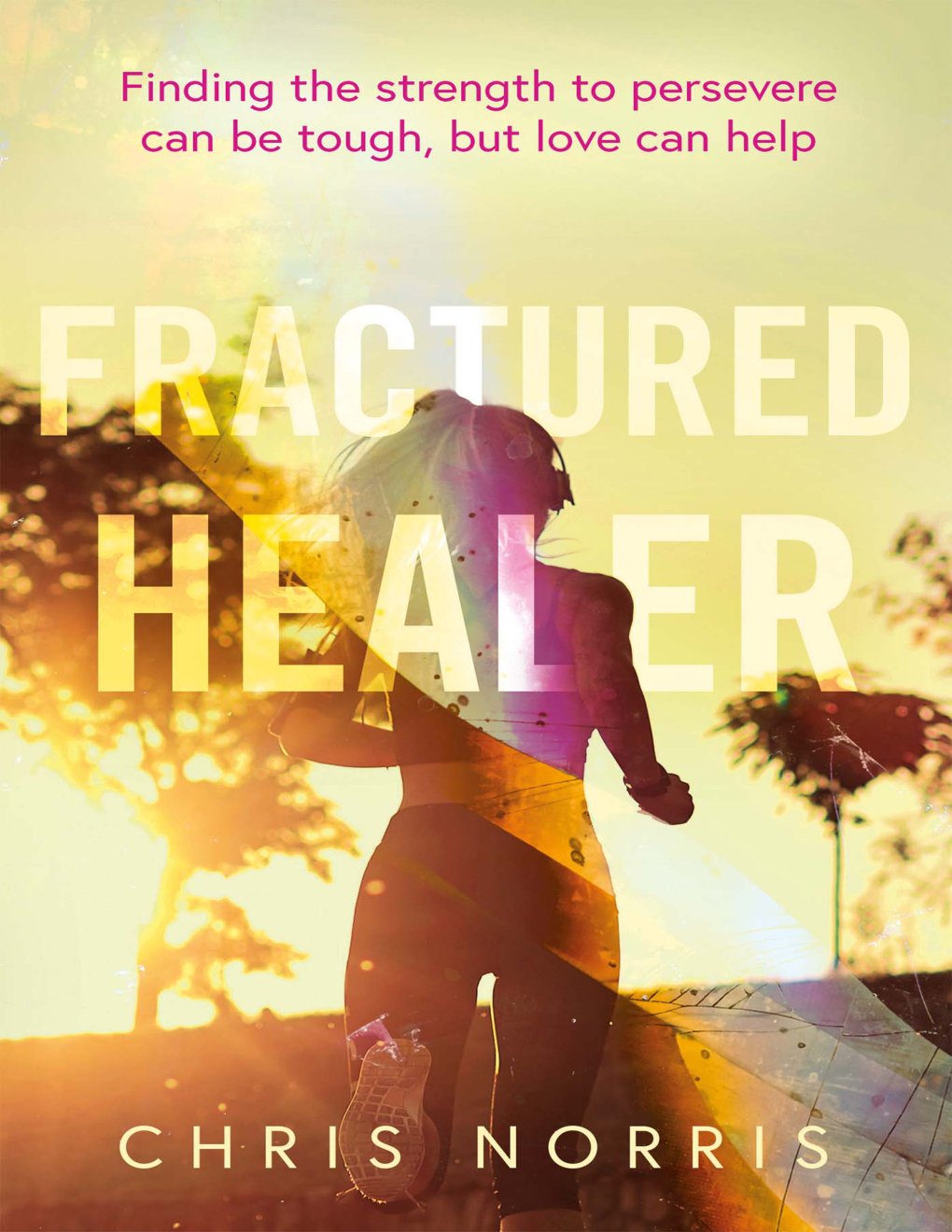 Cover of Fractured Healer