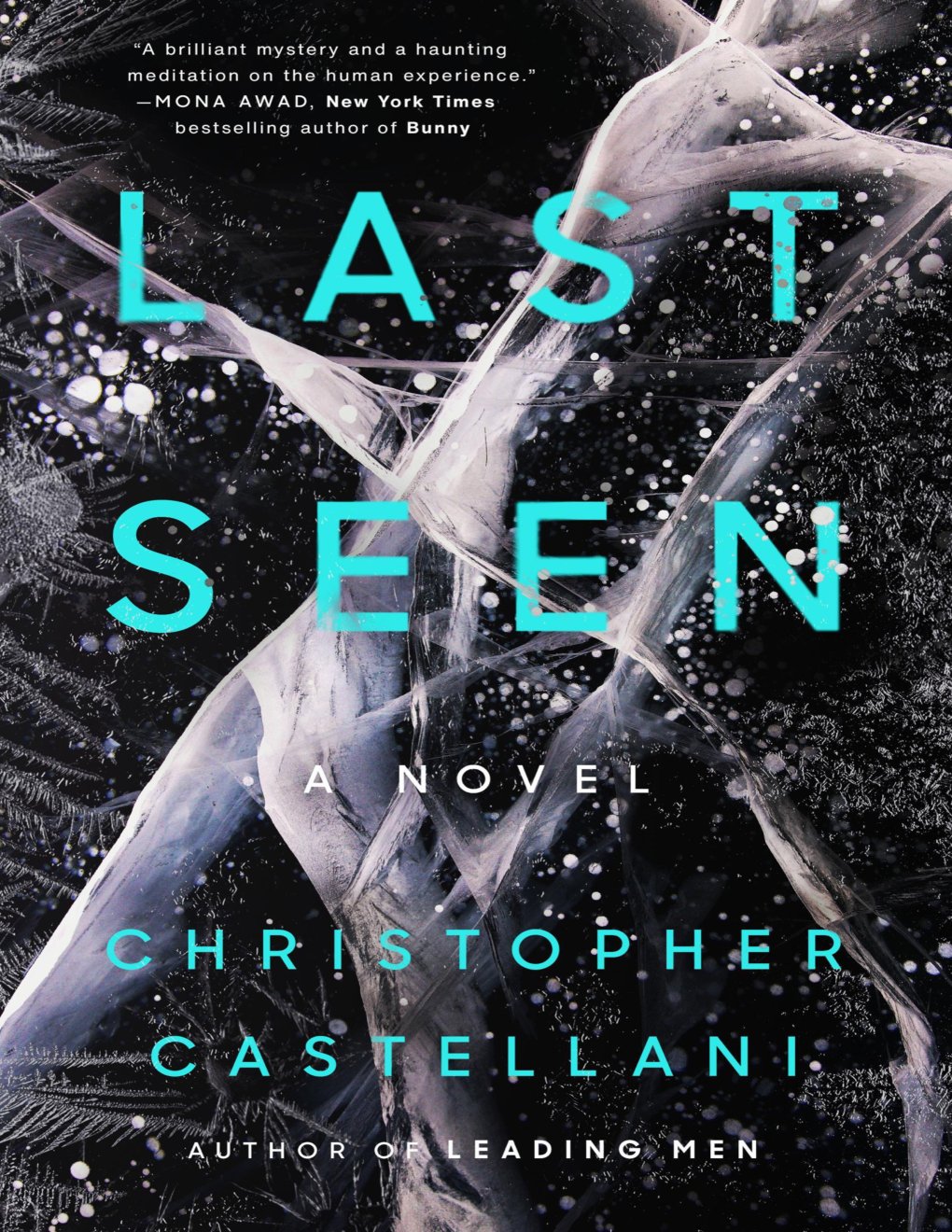 Cover of Last Seen: A Novel