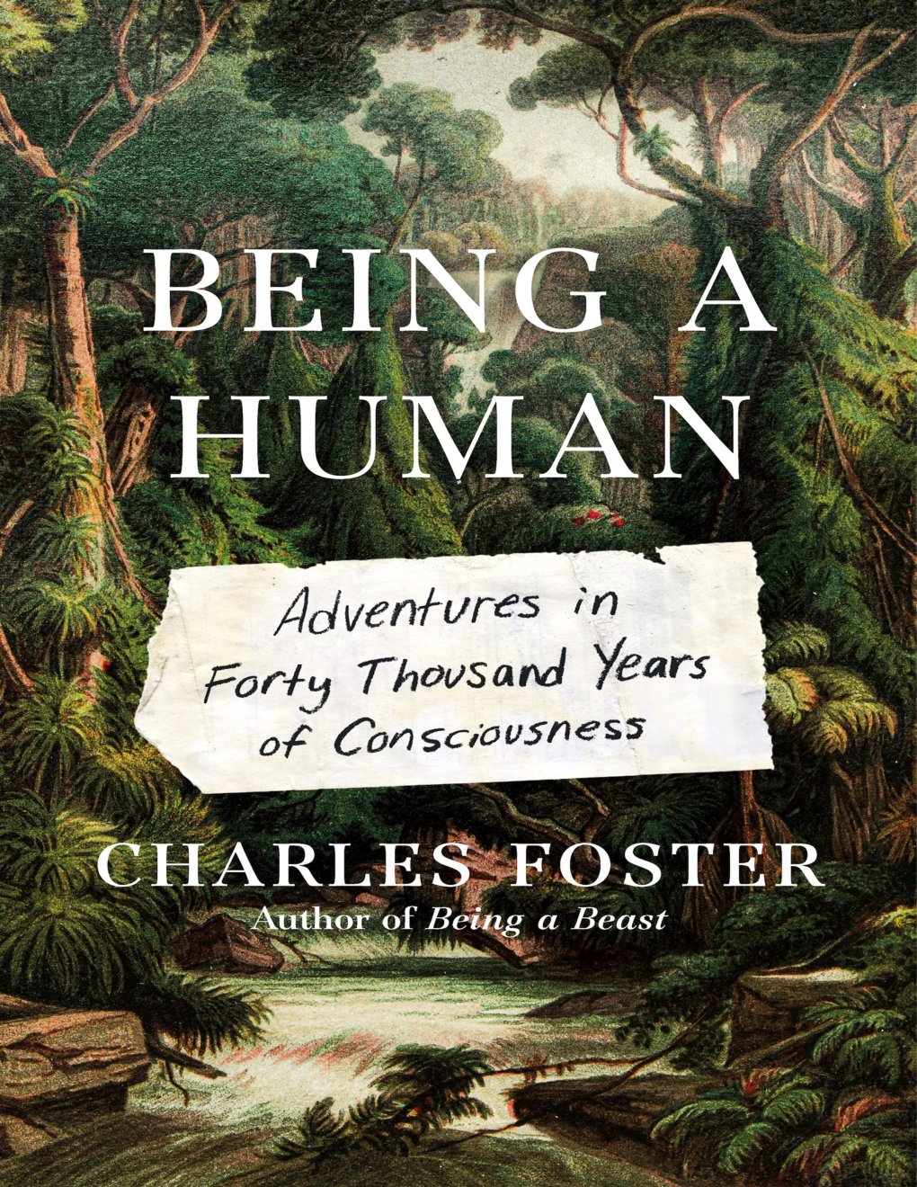 Cover of Being a Human