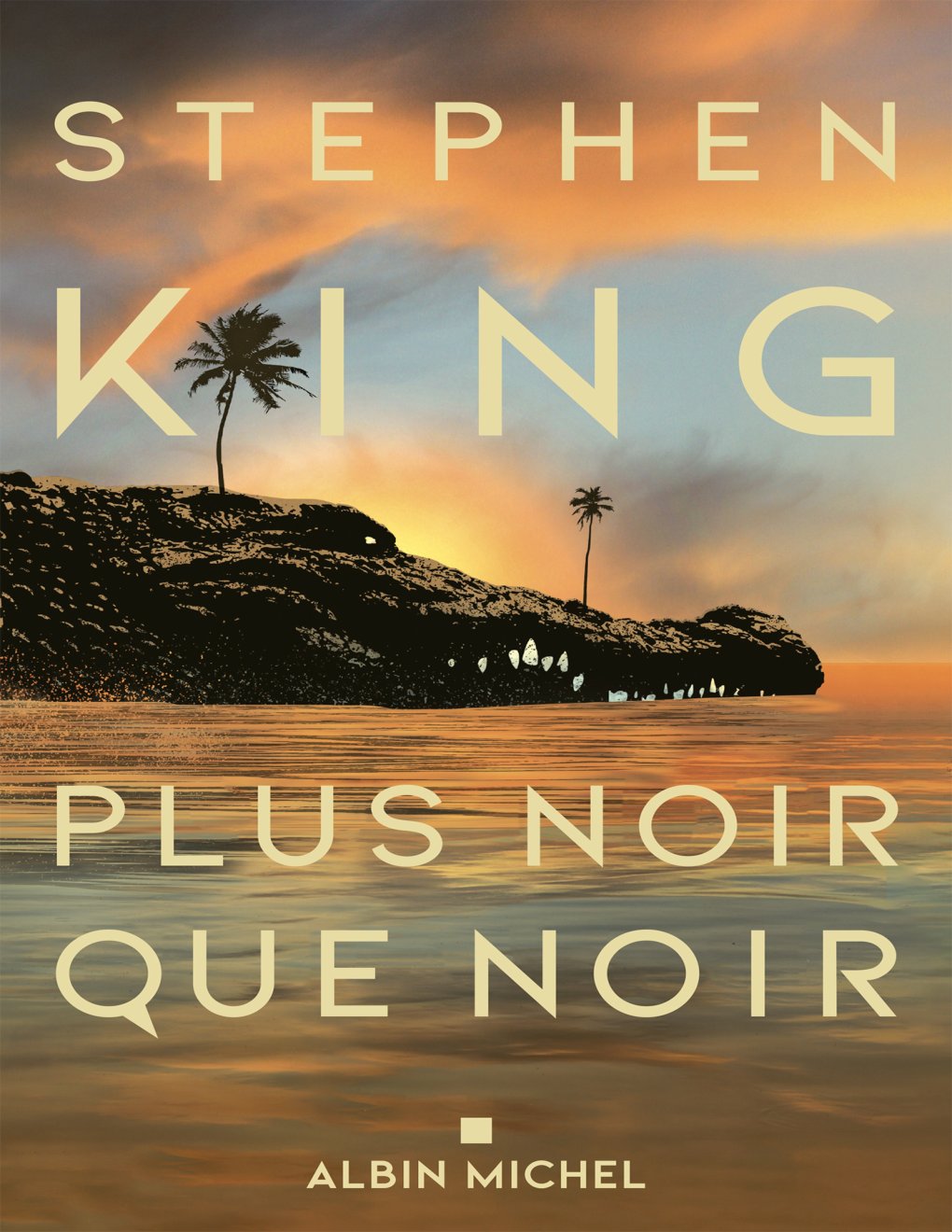 Cover of Plus Noir Que Noir