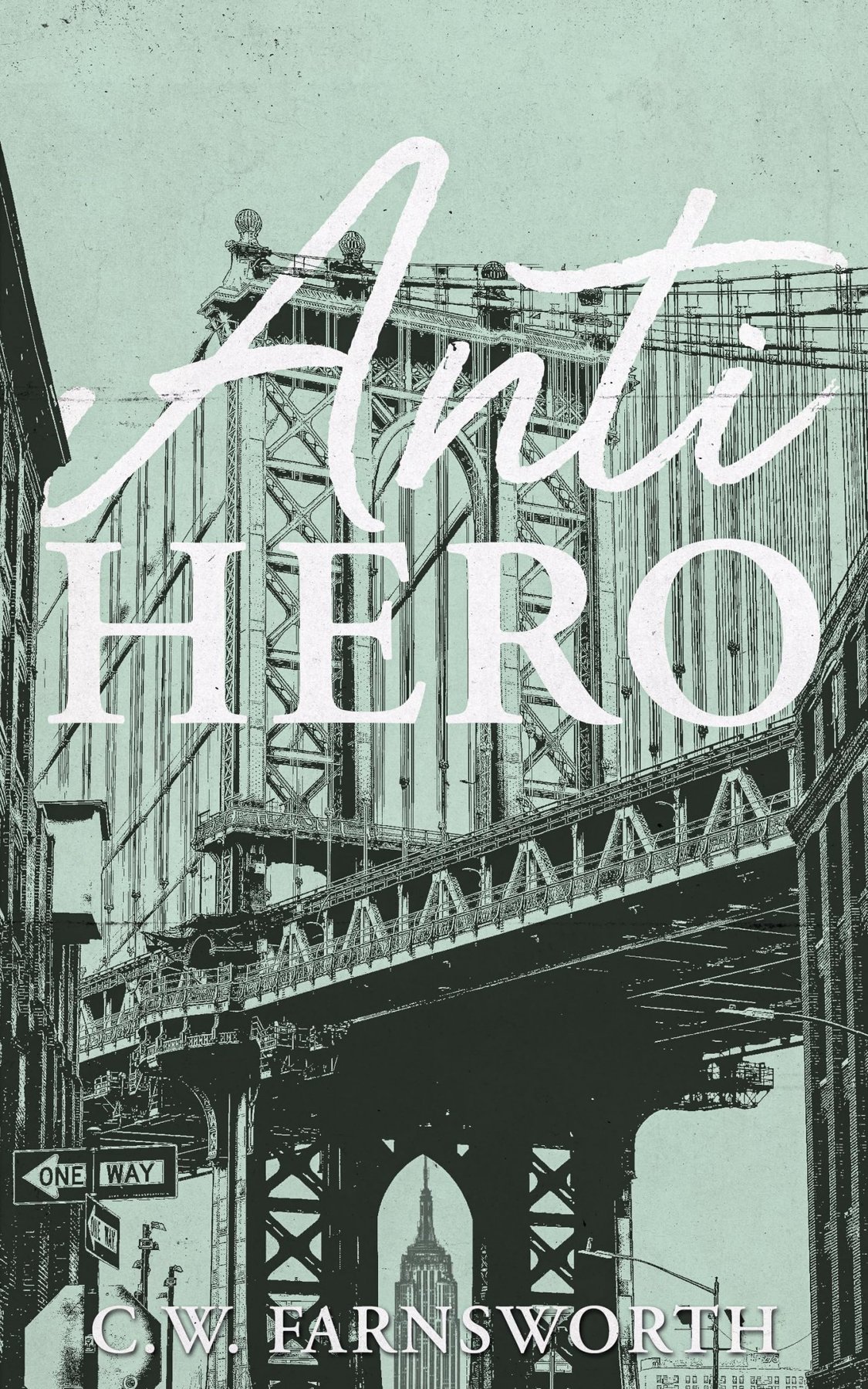 Cover of Anti-Hero