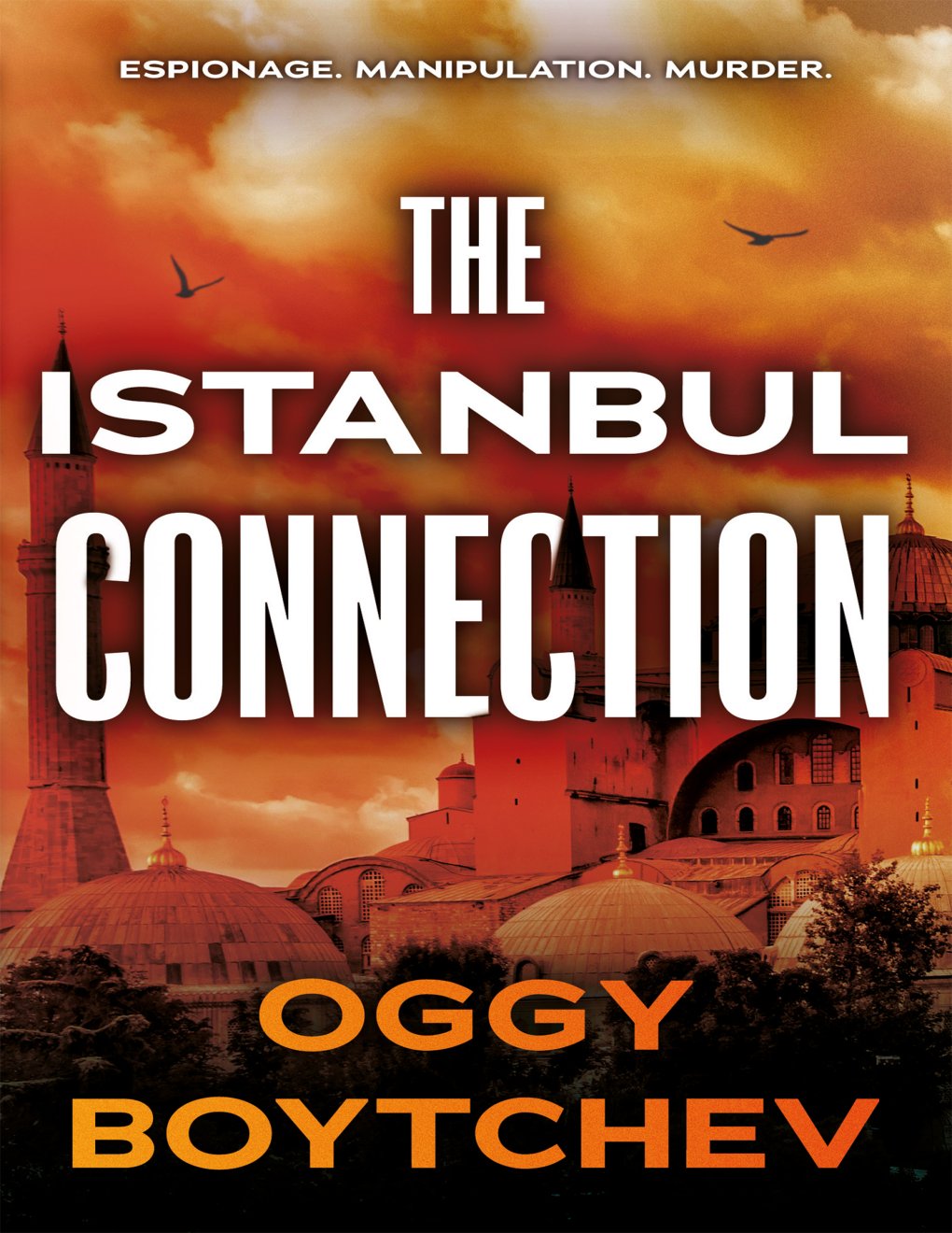 Cover of The Istanbul Connection