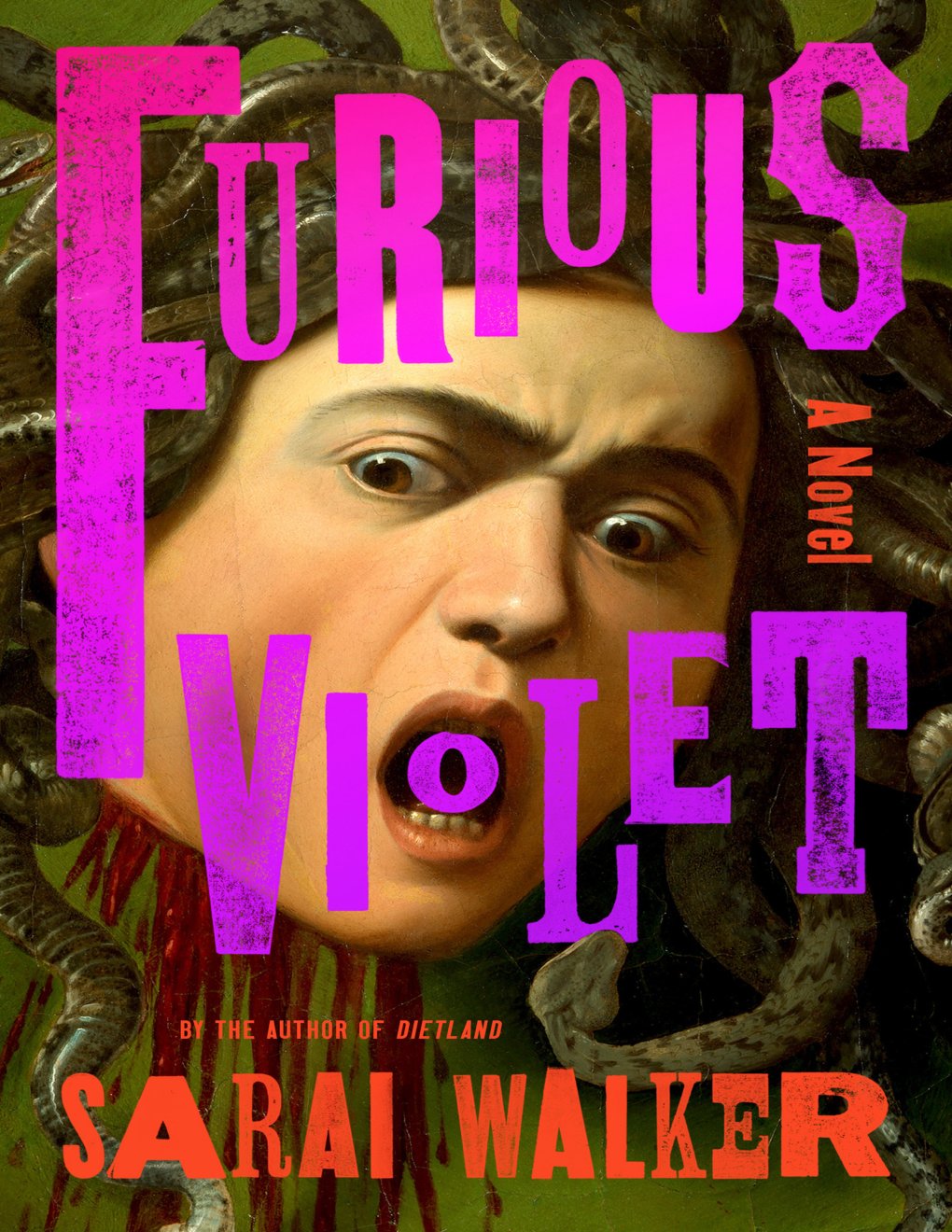 Cover of Furious Violet
