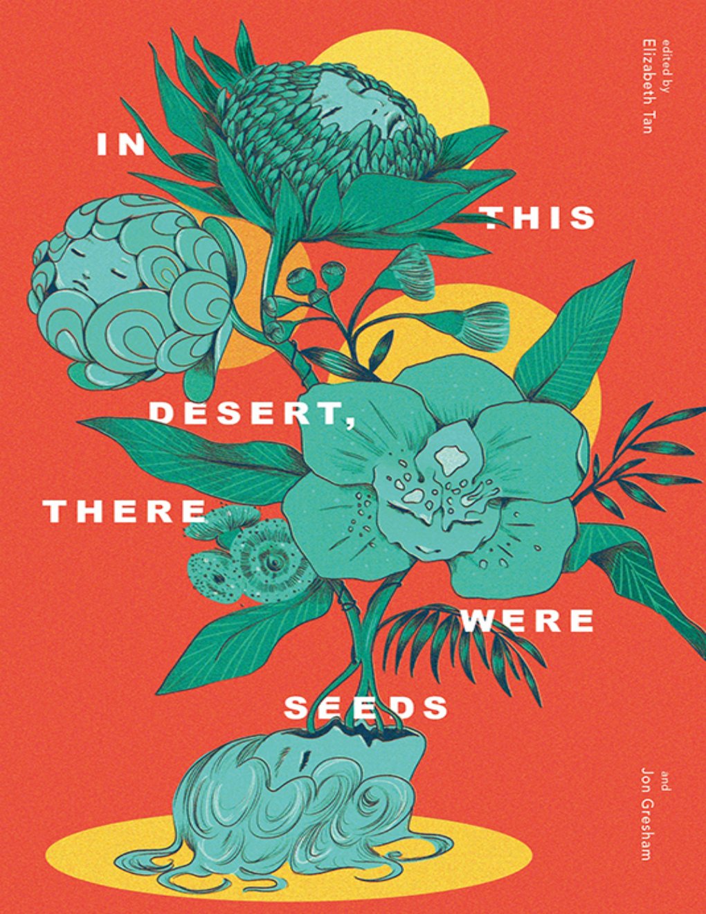 Cover of In This Desert, There Were Seeds (1997)