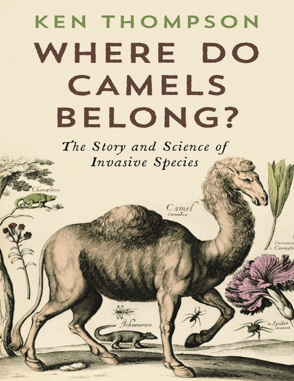 Cover of Where Do Camels Belong?