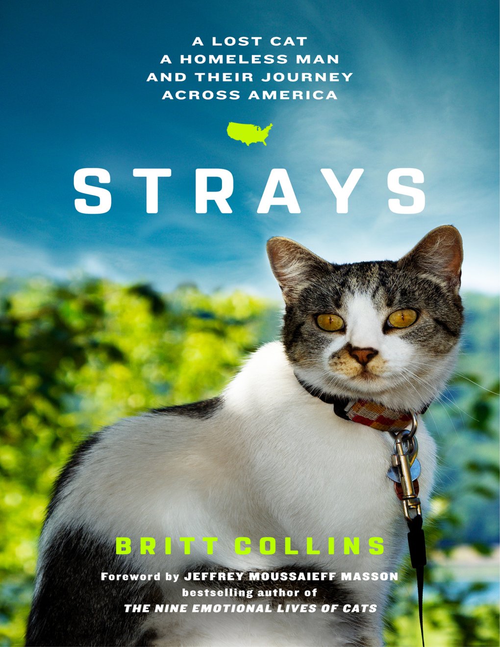 Cover of Strays