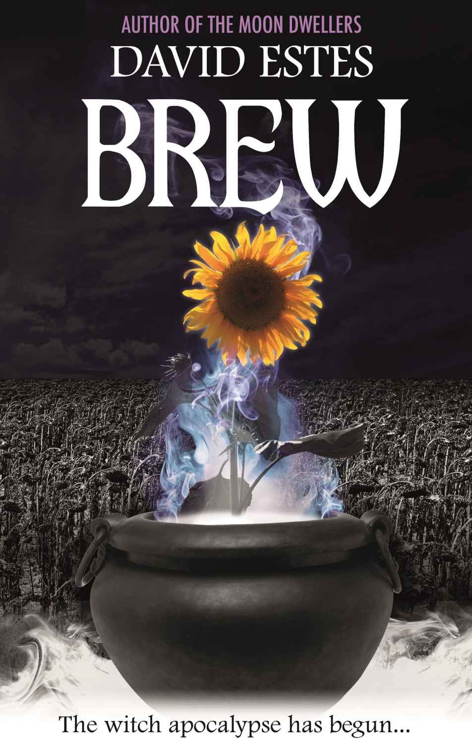 Cover of Brew (Salem's Revenge Book 1)