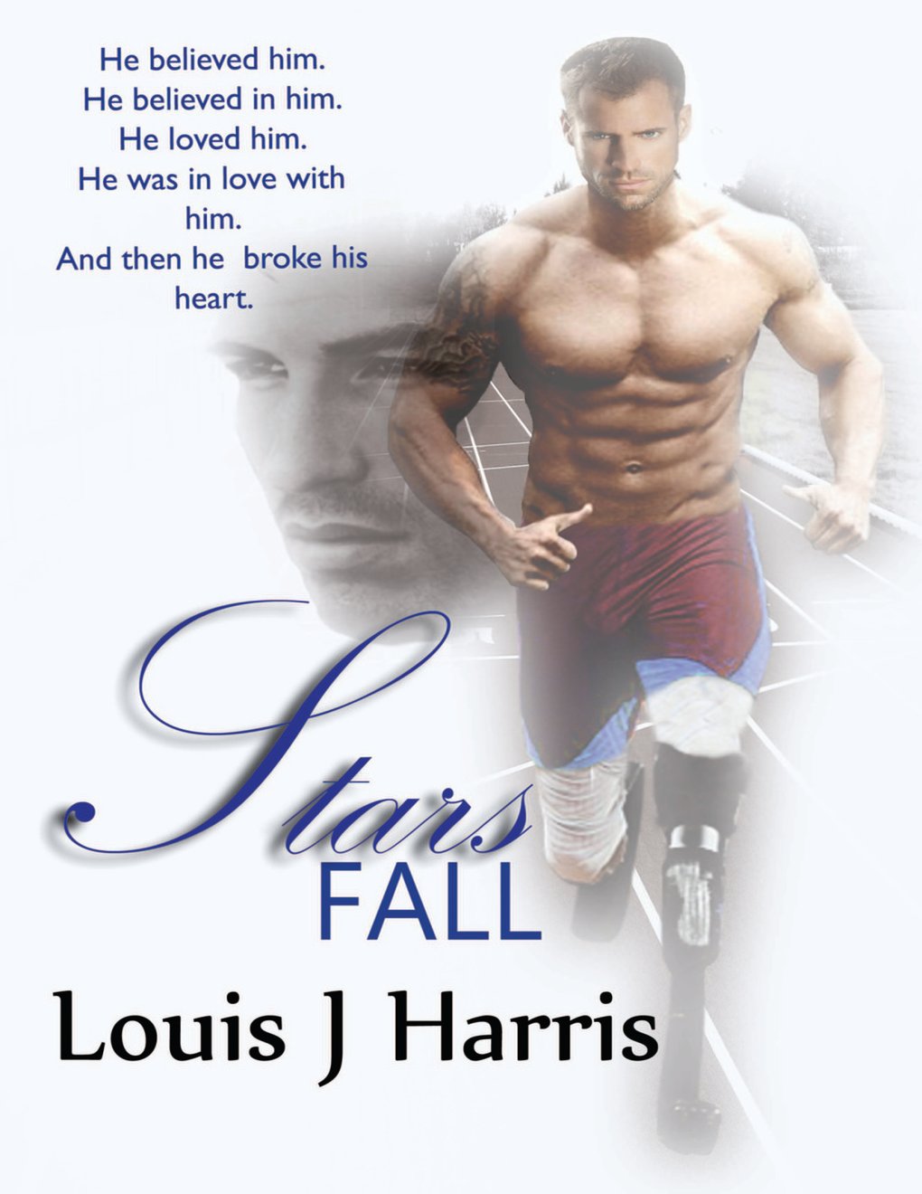 Cover of Stars Fall
