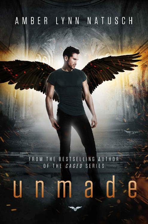 Cover of Unmade (Unborn Book 4)
