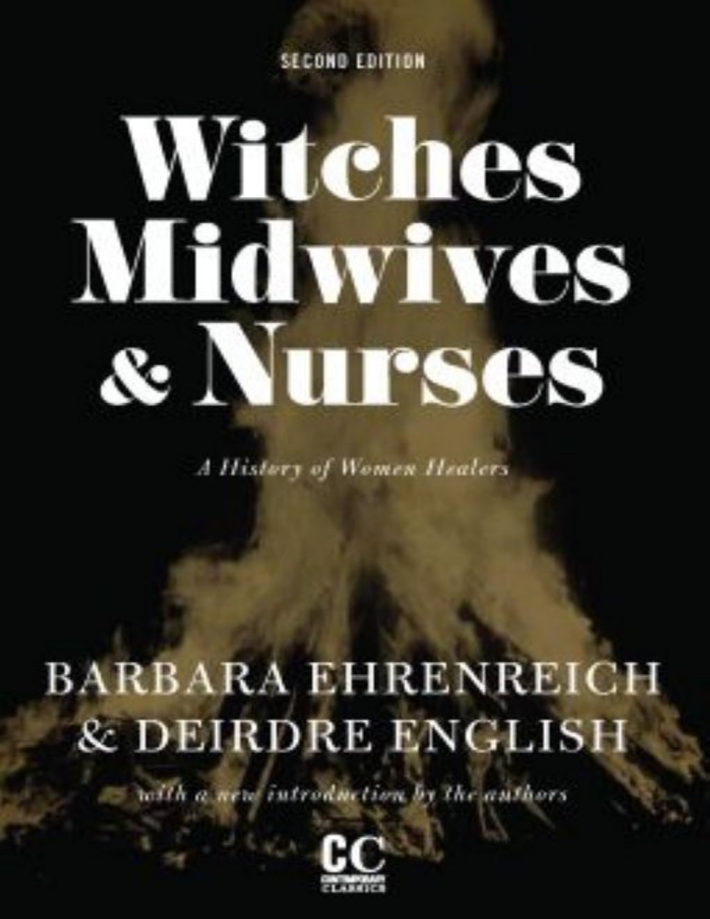 Cover of Witches, Midwives, and Nurses