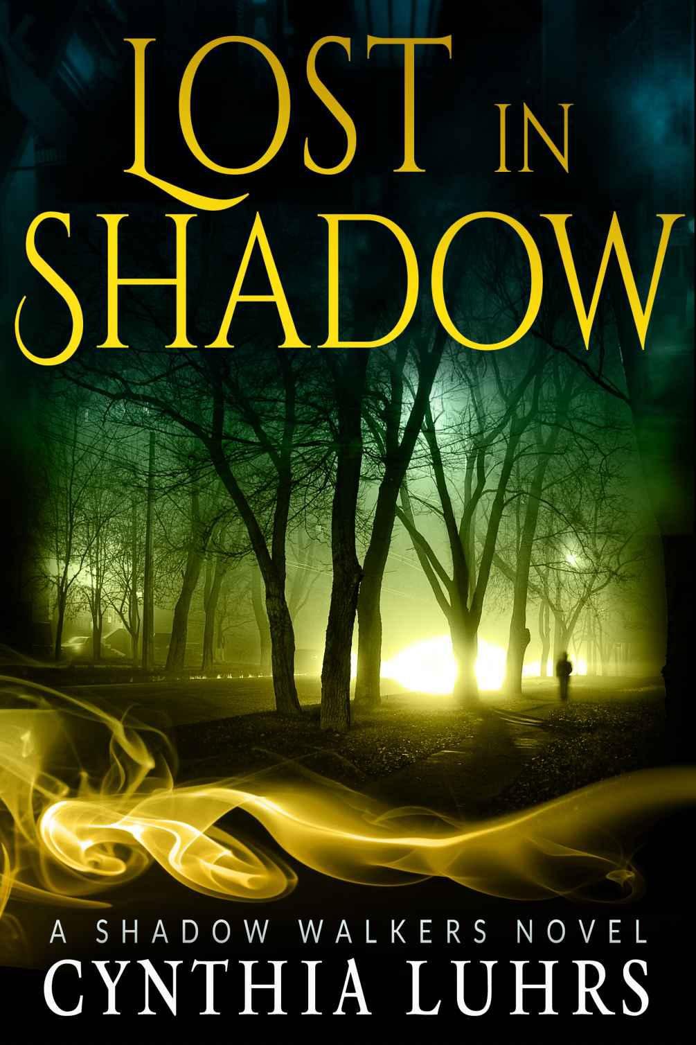 Cover of Lost in Shadow