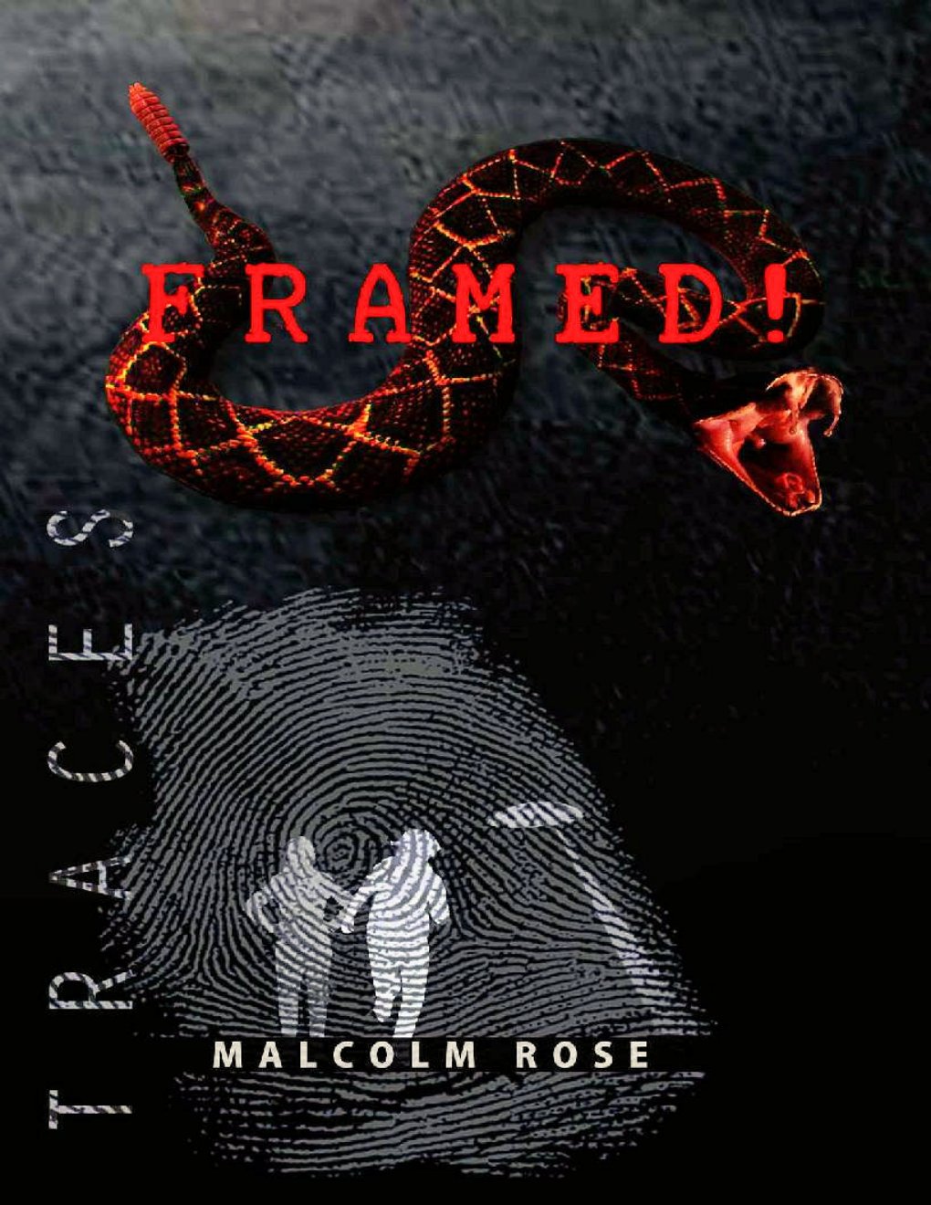 Cover of Traces: Framed!