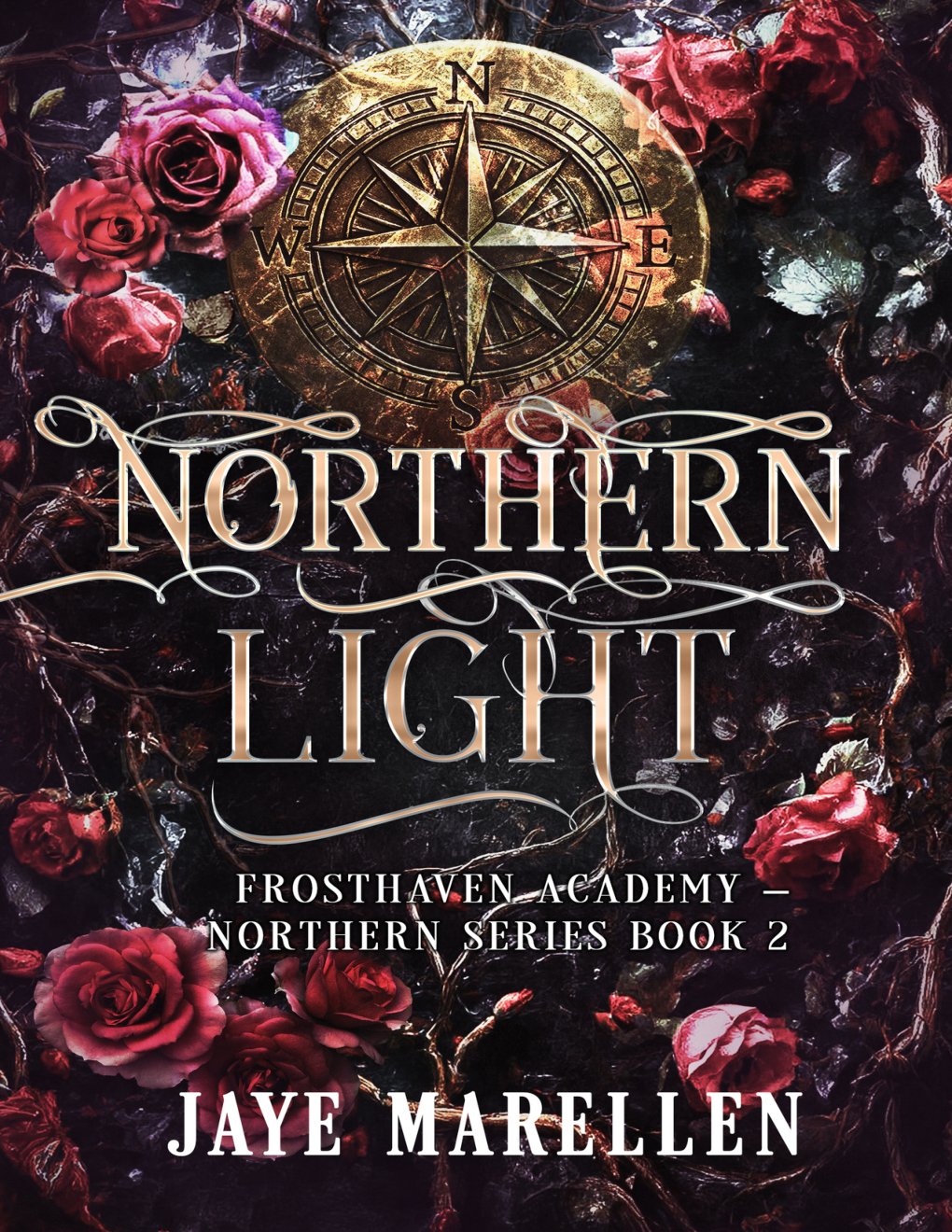 Cover of Northern Light: A Reverse Harem Shifter Academy Romance