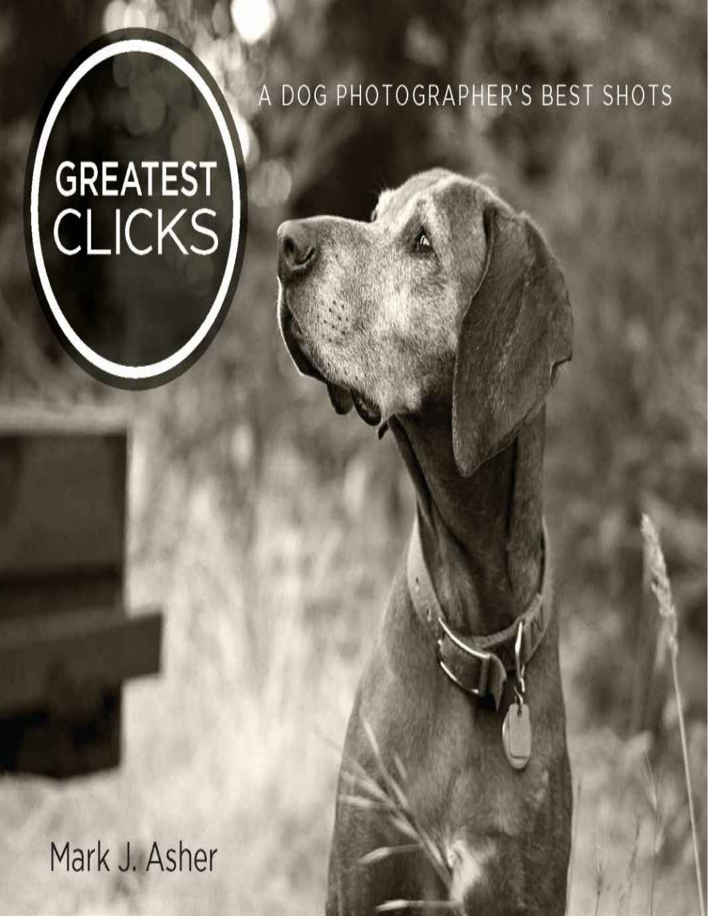 Cover of Greatest Clicks: A Dog Photographer's Best Shots