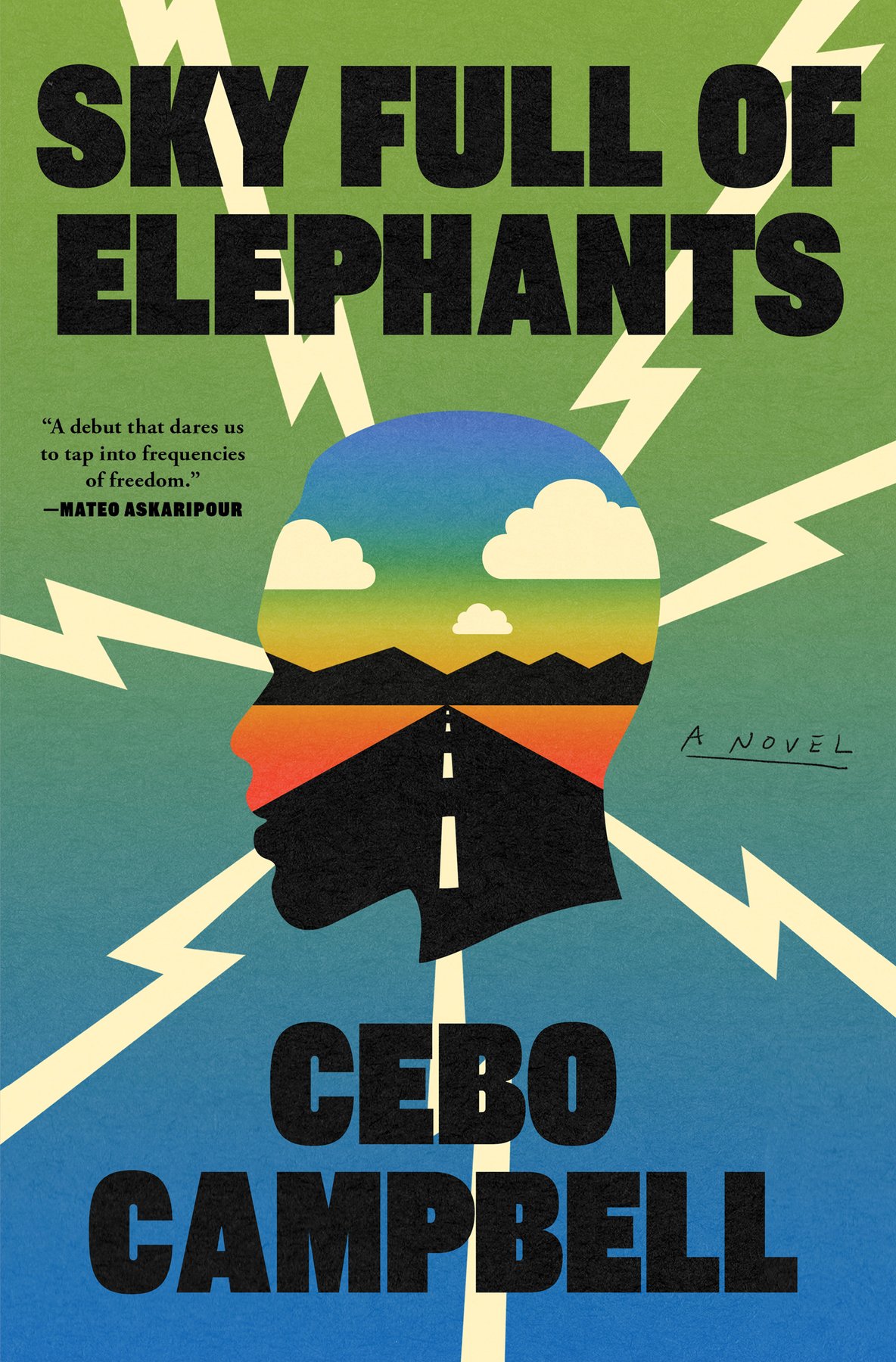 Cover of Sky Full of Elephants