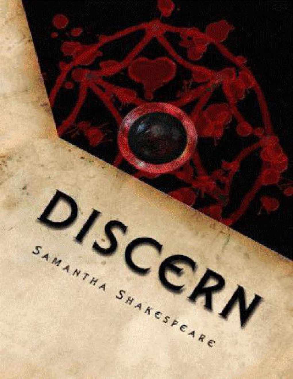 Cover of DISCERN (2008)