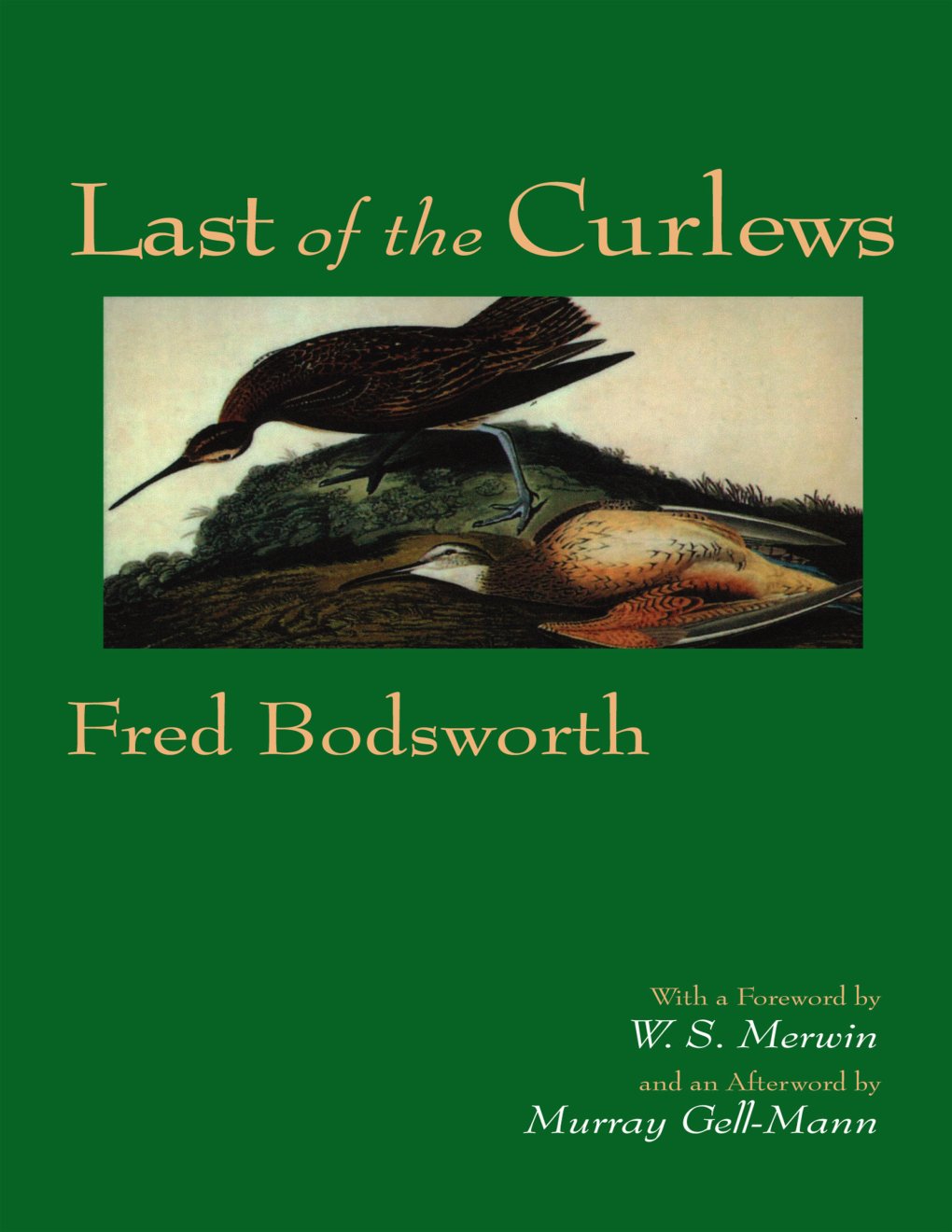 Cover of Last of the Curlews