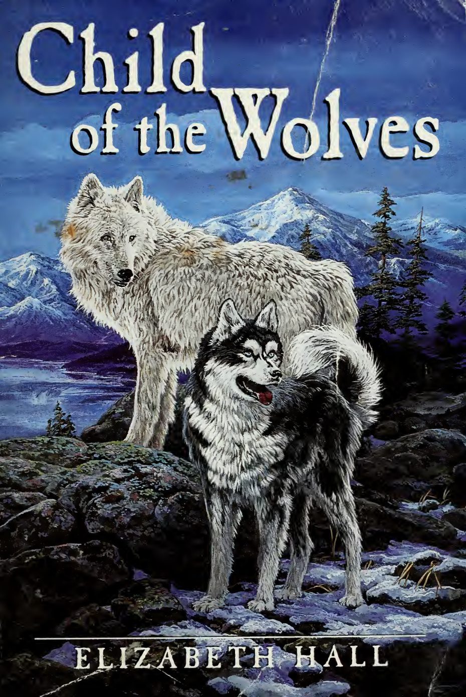 Cover of Child of the wolves