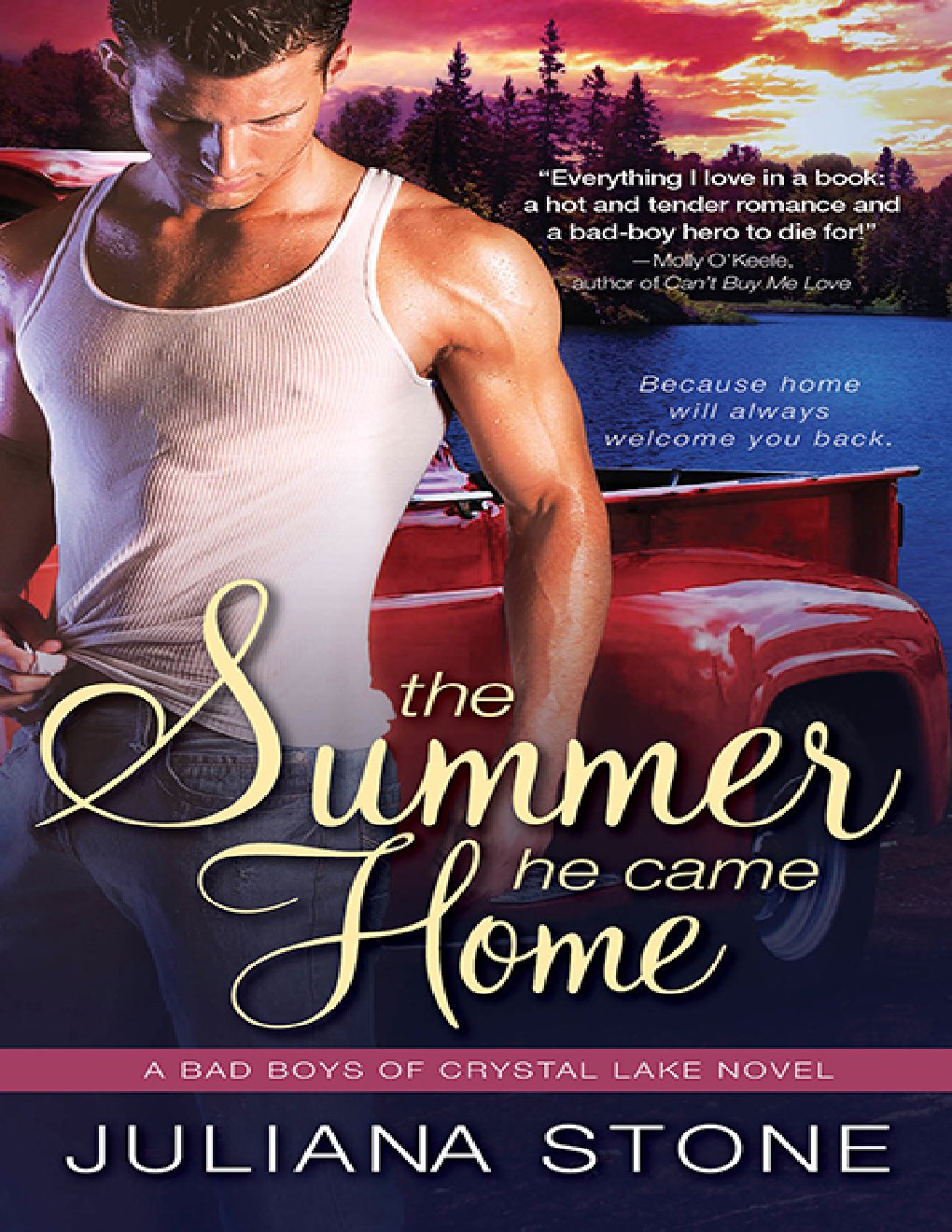 Cover of The Summer He Came Home