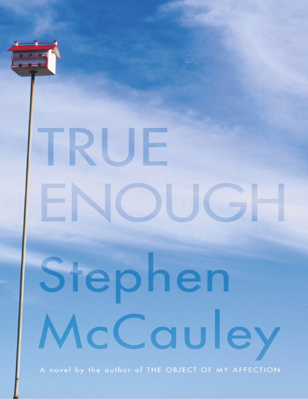 Cover of True Enough