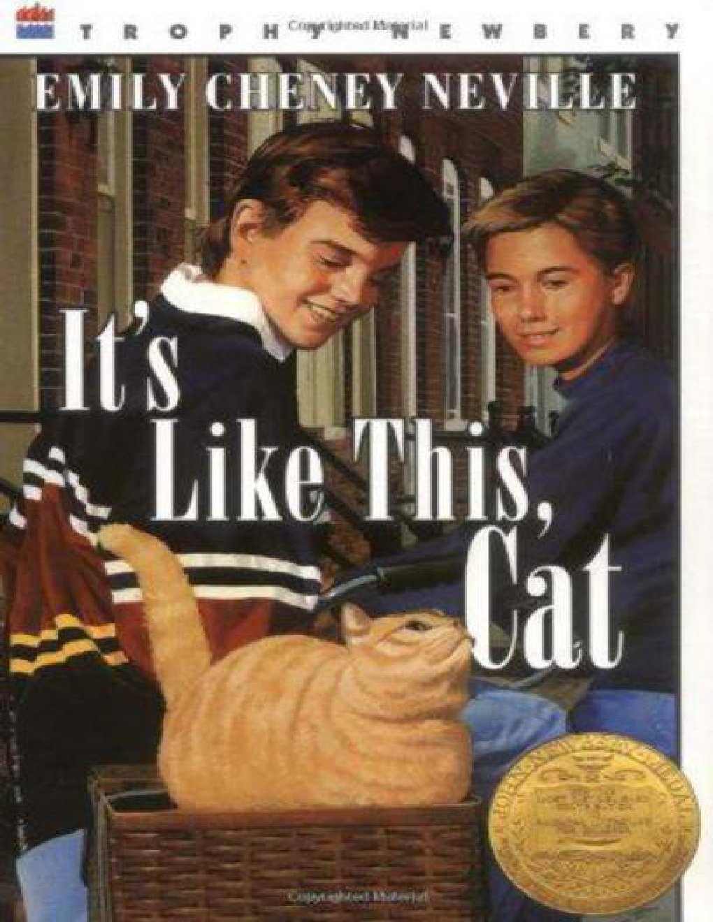Cover of It's Like This, Cat