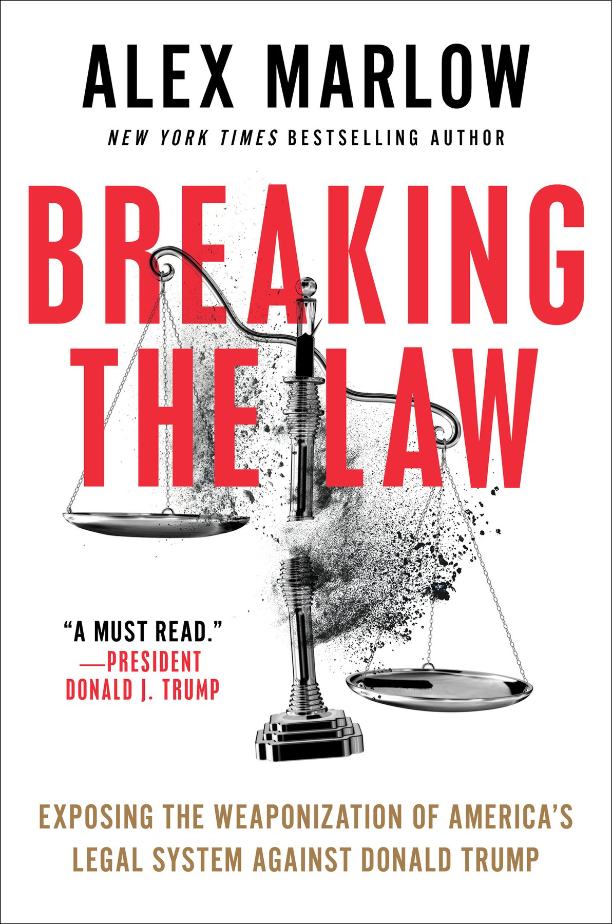 Cover of Breaking the Law