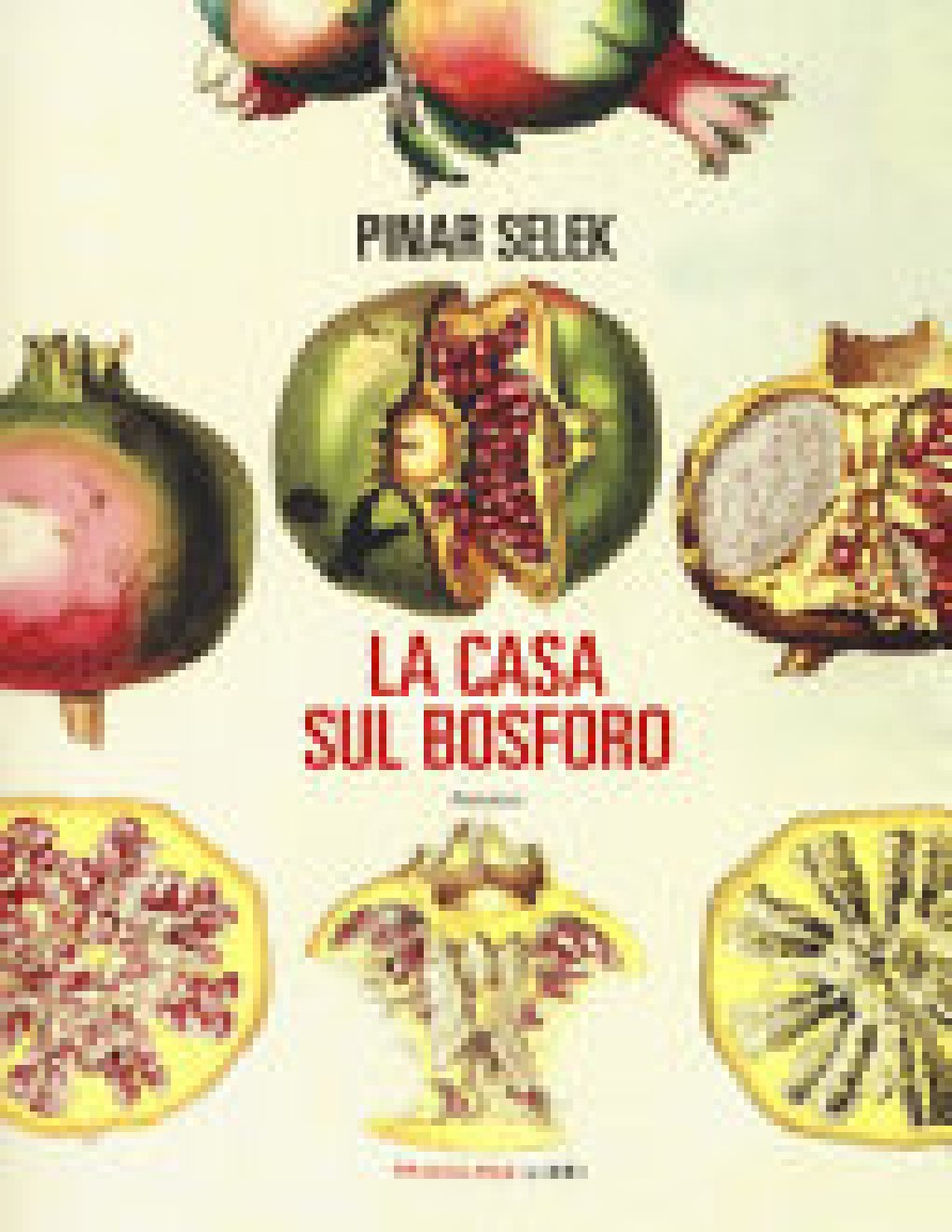 Cover of La casa sul Bosforo