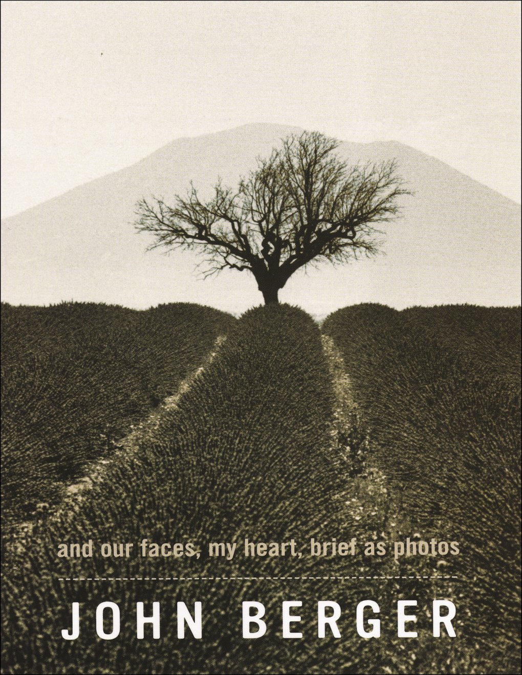 Cover of And Our Faces, My Heart, Brief As Photos