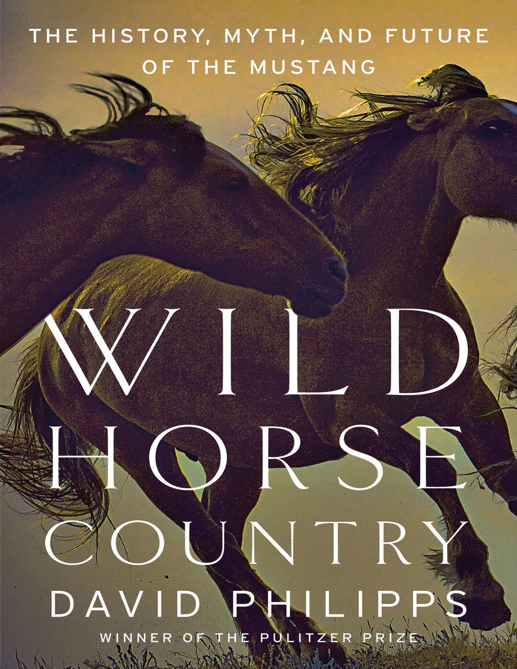 Cover of Wild Horse Country