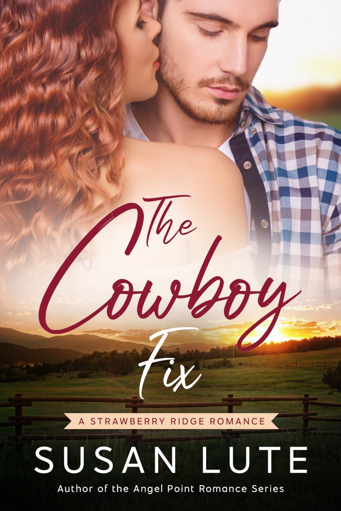 Cover of The Cowboy Fix