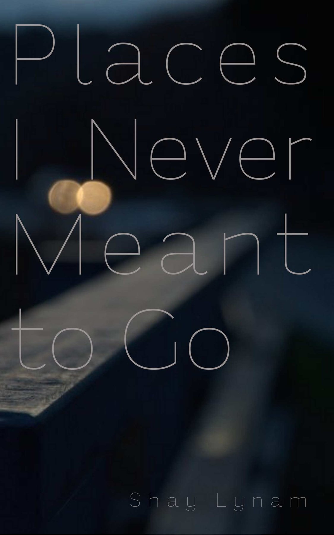 Cover of Places I Never Meant To Go