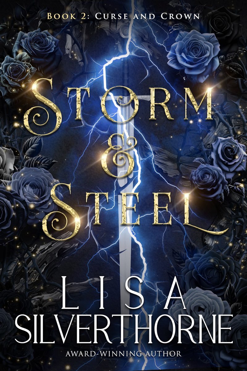 Cover of Storm & Steel