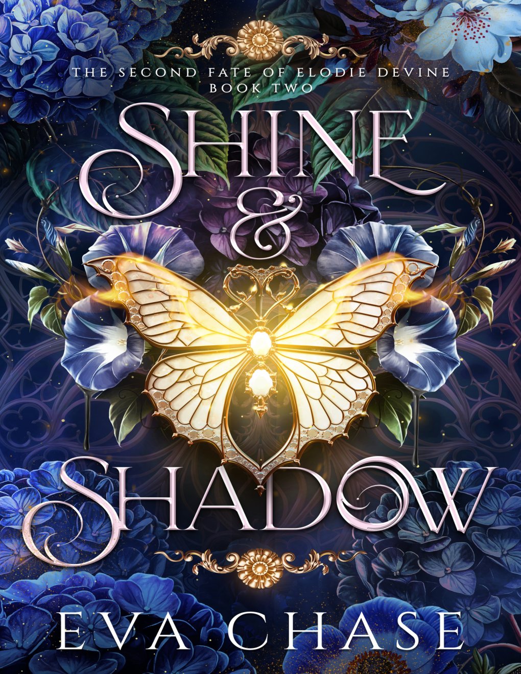 Cover of Shine & Shadow (2026)