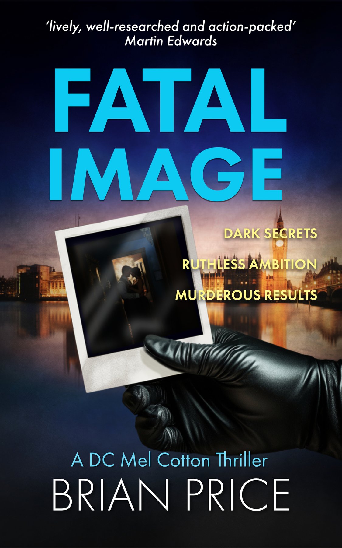 Cover of Fatal Image (1988)