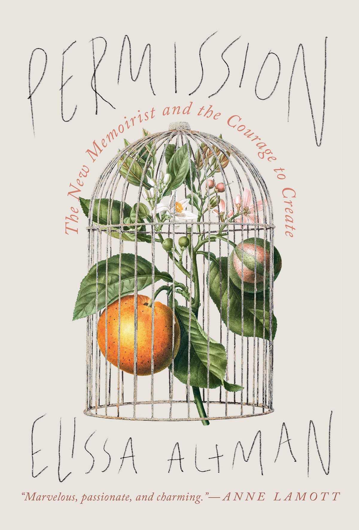 Cover of Permission