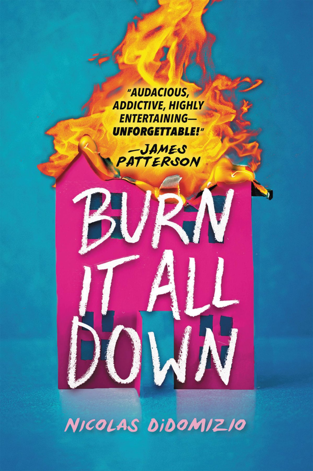 Cover of Burn It All Down