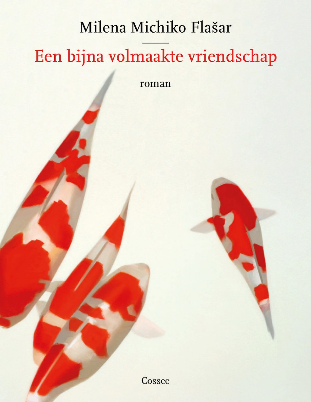 Cover of Een bijna volmaakte vriendschap (2010)