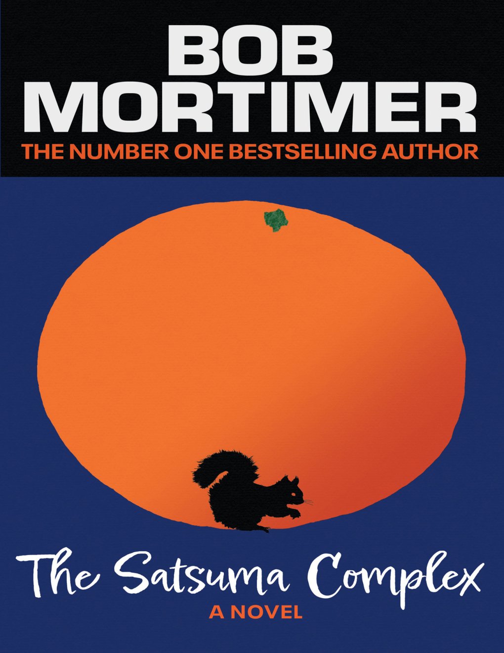 Cover of The Satsuma Complex