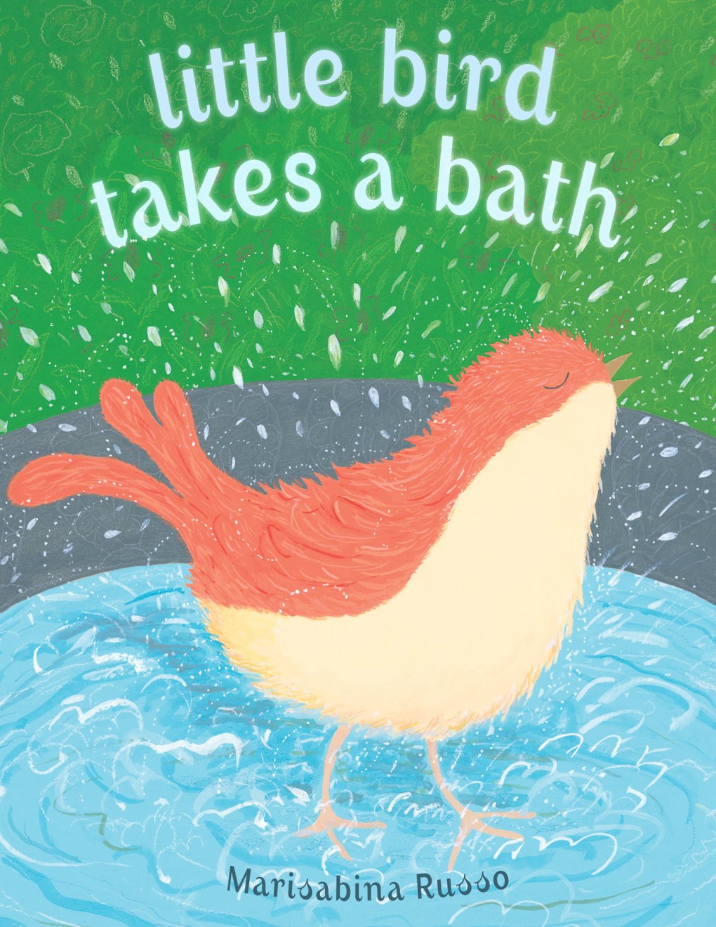 Cover of Little Bird Takes a Bath (2015)